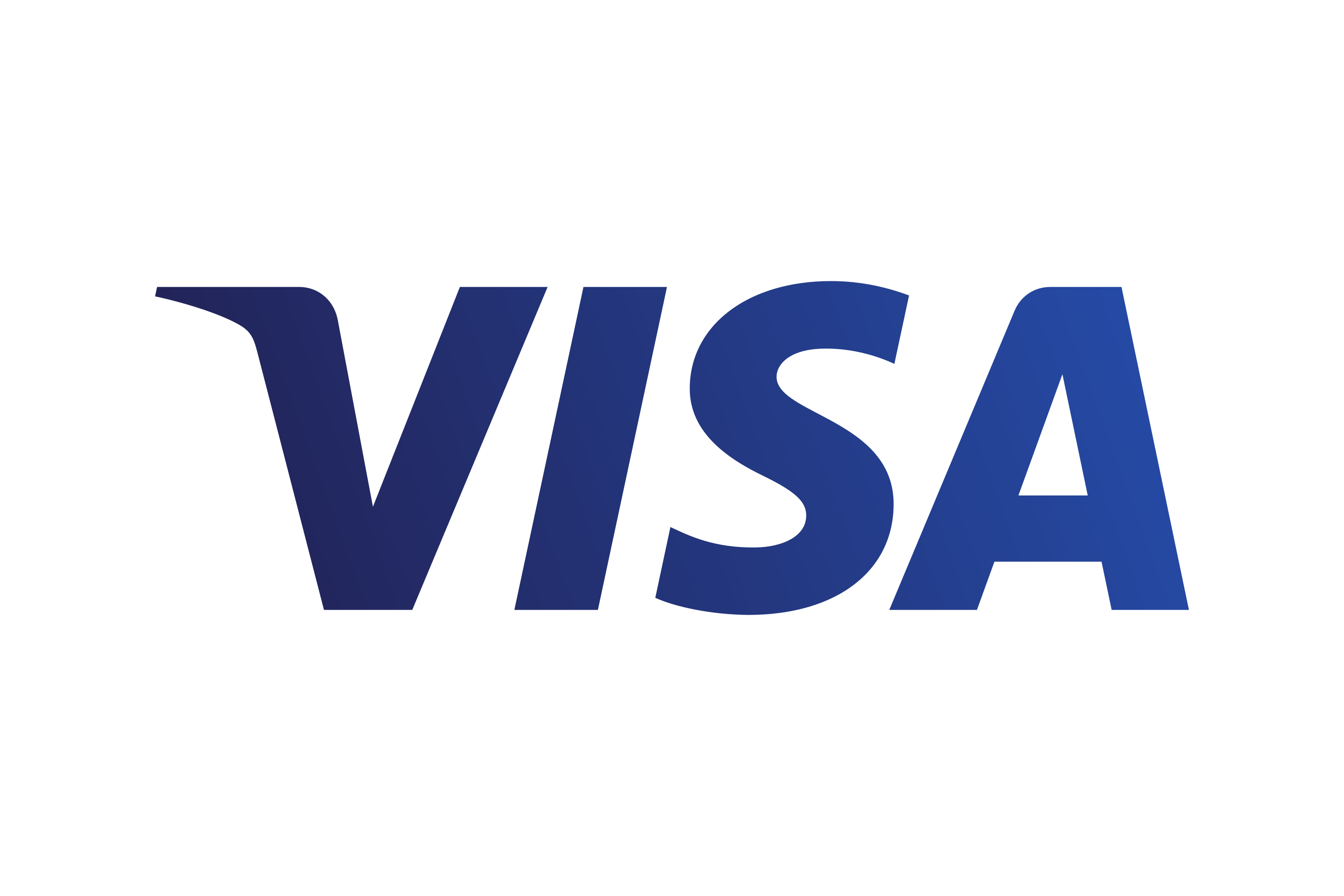 Visa Inc. Logo